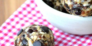 Healthy No Bake Energy Bites