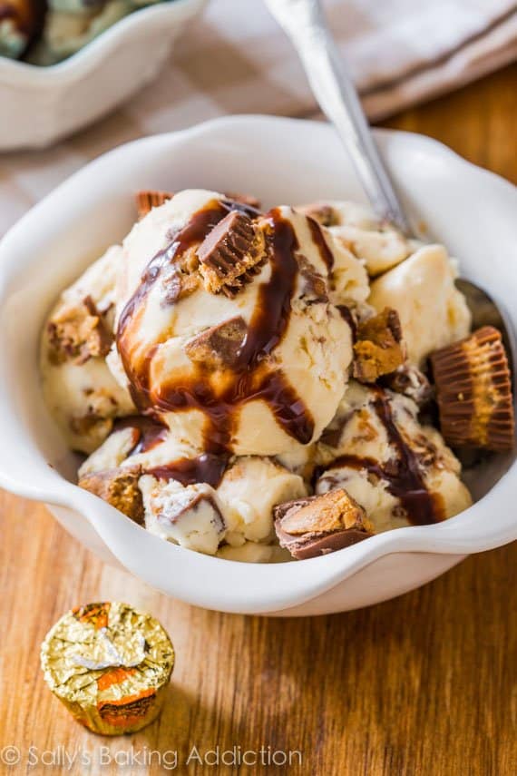 Sallys-Candy-Addiction-Cookbook-Reeses-Ice-Cream