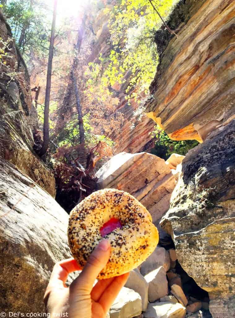 Bagel in Zion National Park