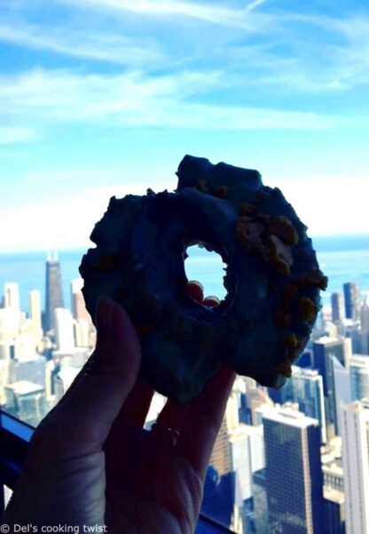 Doughnut Vault on top of Willis Tower