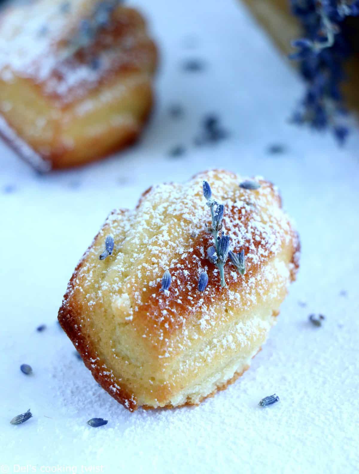 Lavender Honey Madeleines