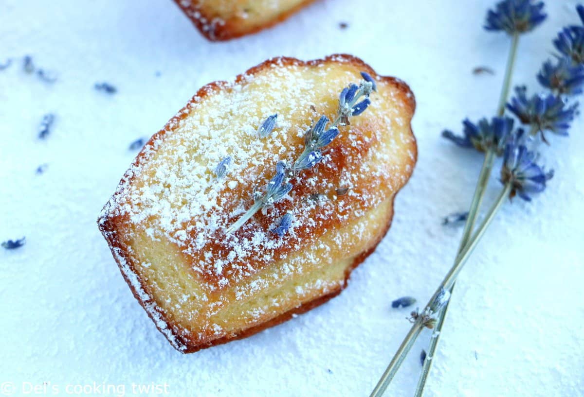 Lavender Honey Madeleines