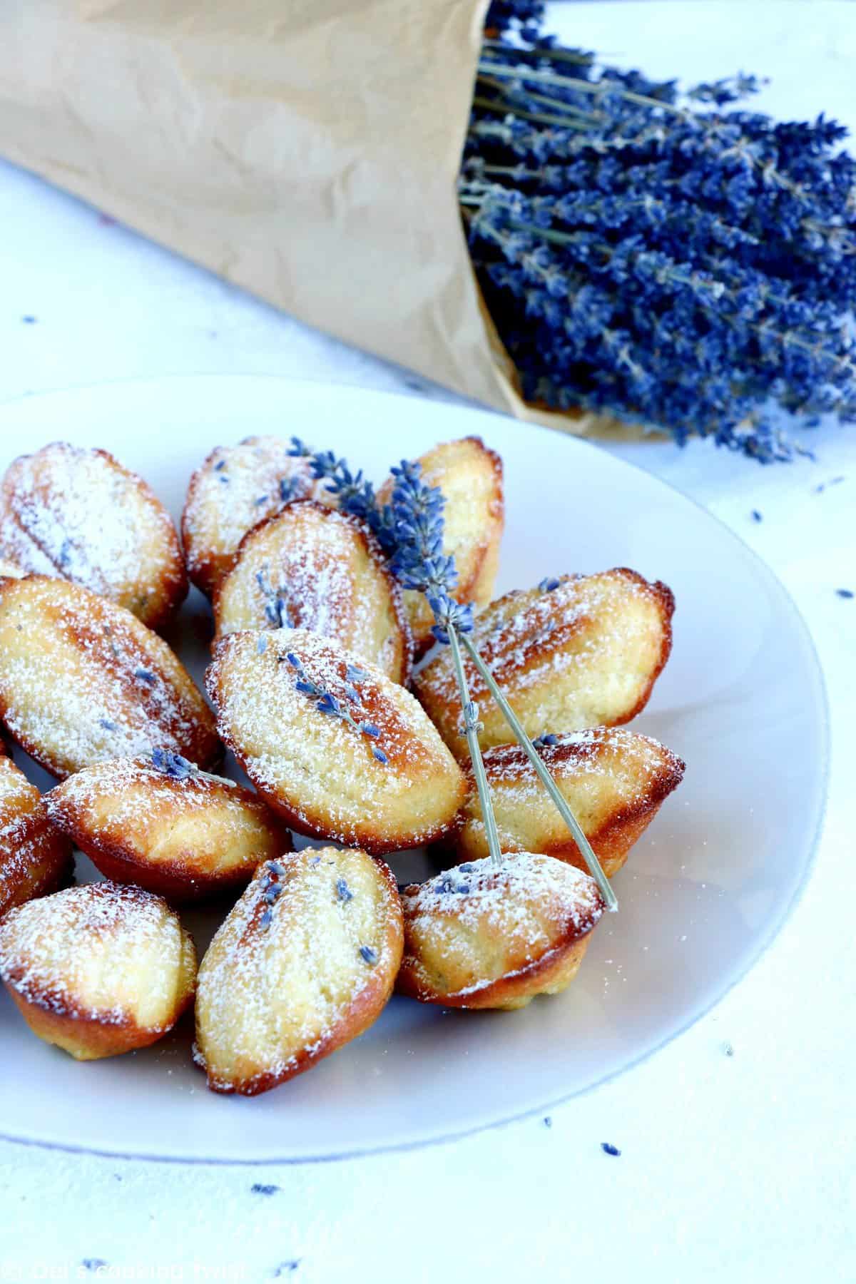 Lavender Honey Madeleines