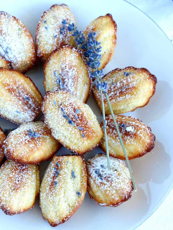 Lavender Honey Madeleines