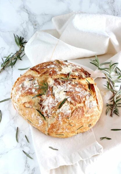 Rosemary Green Olives No Knead Bread