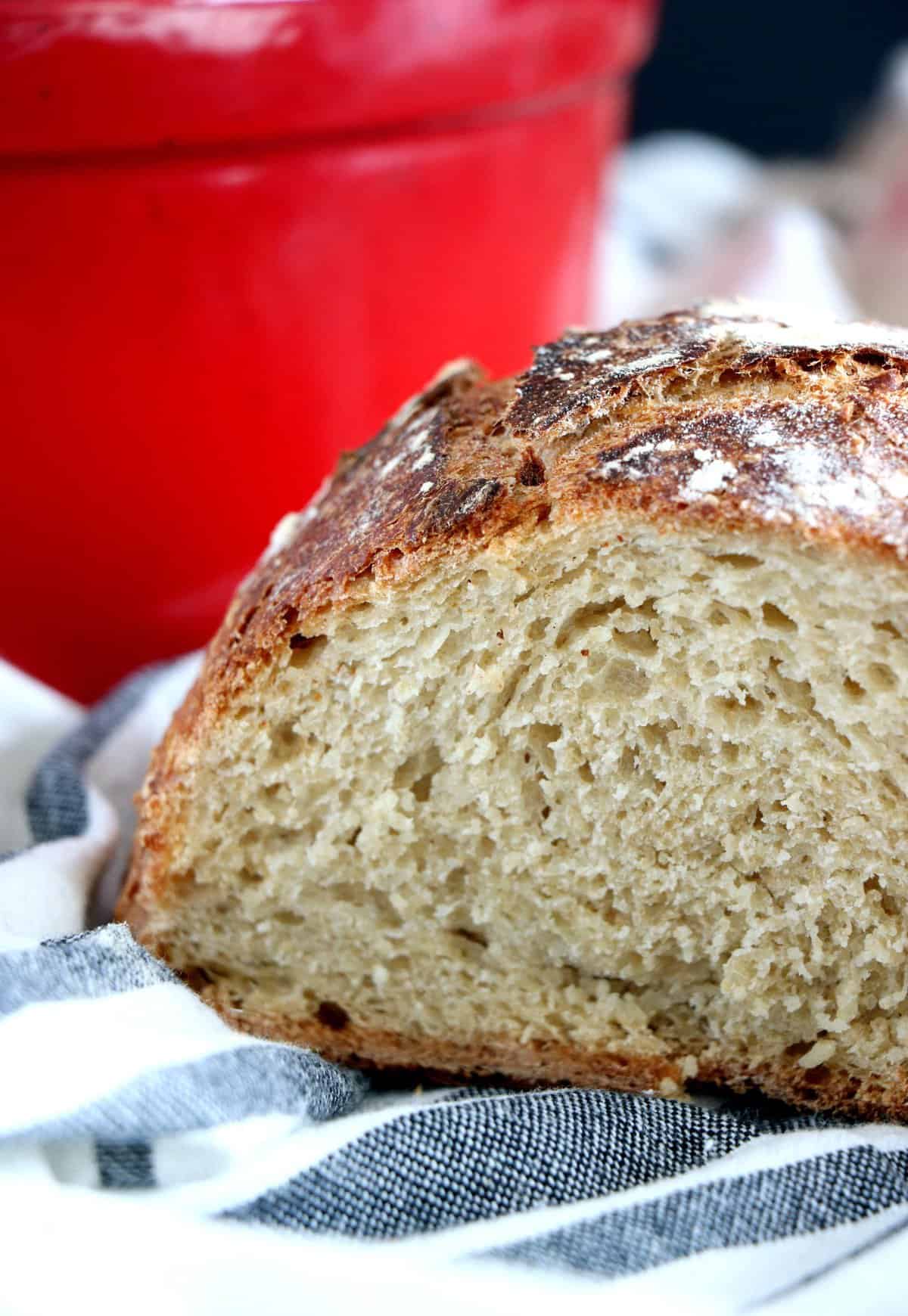 Whole Wheat No-Knead Bread