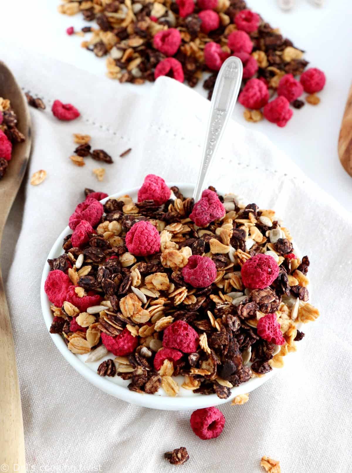 Sugar-Free Cocoa Raspberry Granola