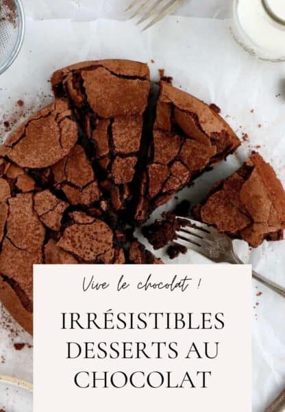 D&eacute;couvrez une s&eacute;lection de desserts au chocolat irr&eacute;sistiblement gourmands qui feront le bonheur des f&eacute;rus de chocolat en toute occasion.