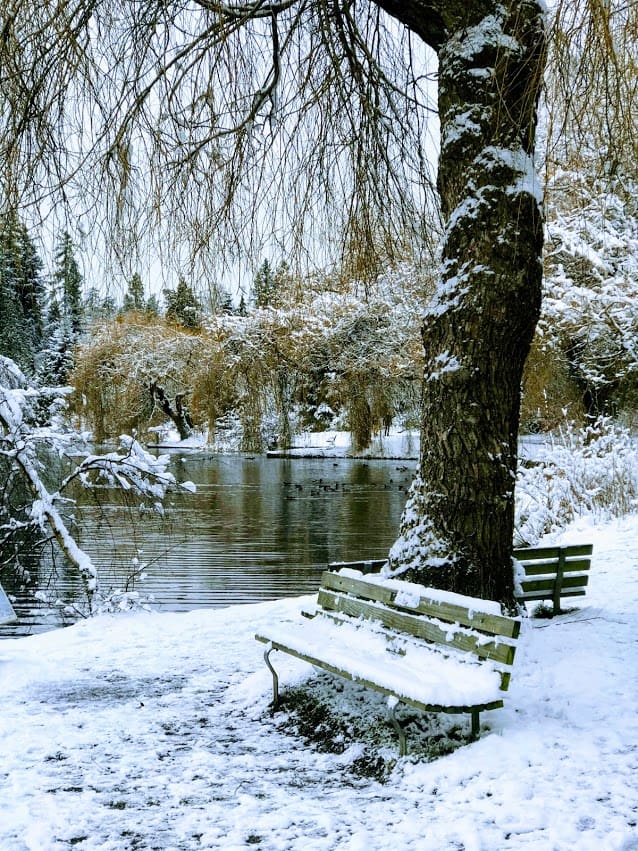 Vancouver snow