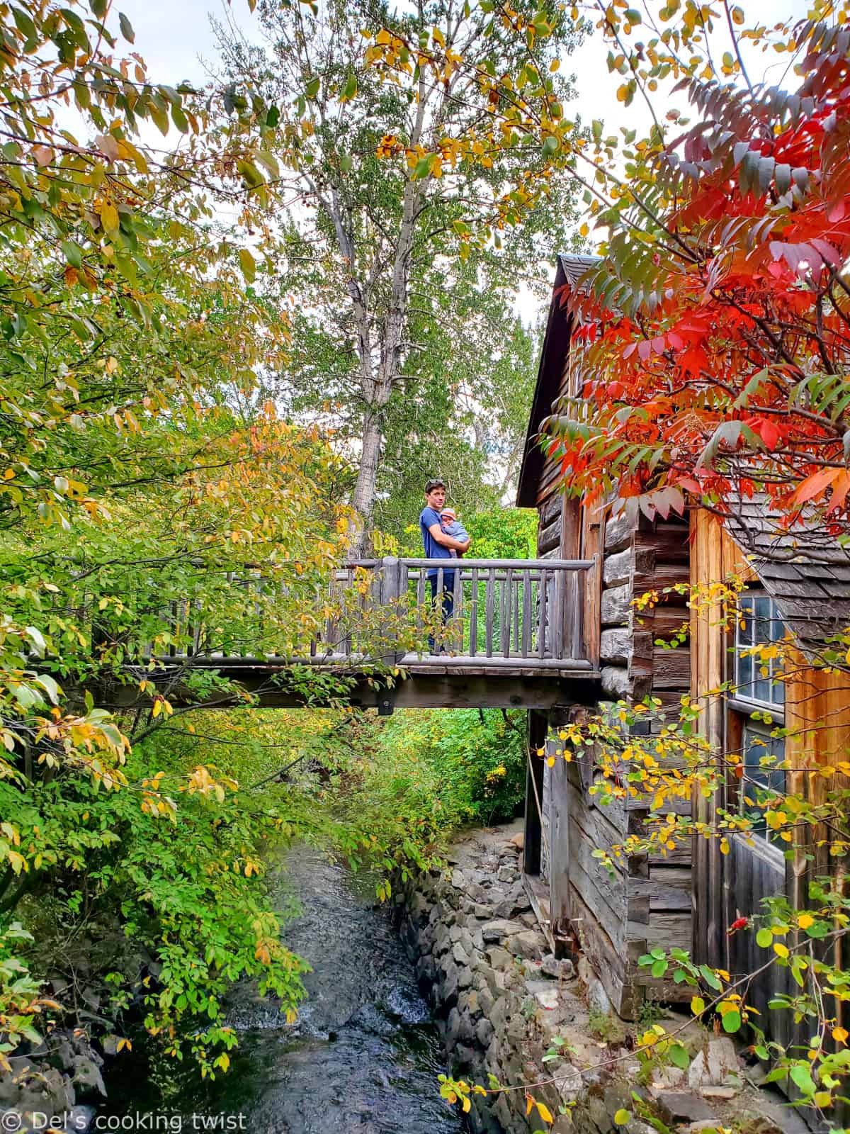 Fall by the Mill