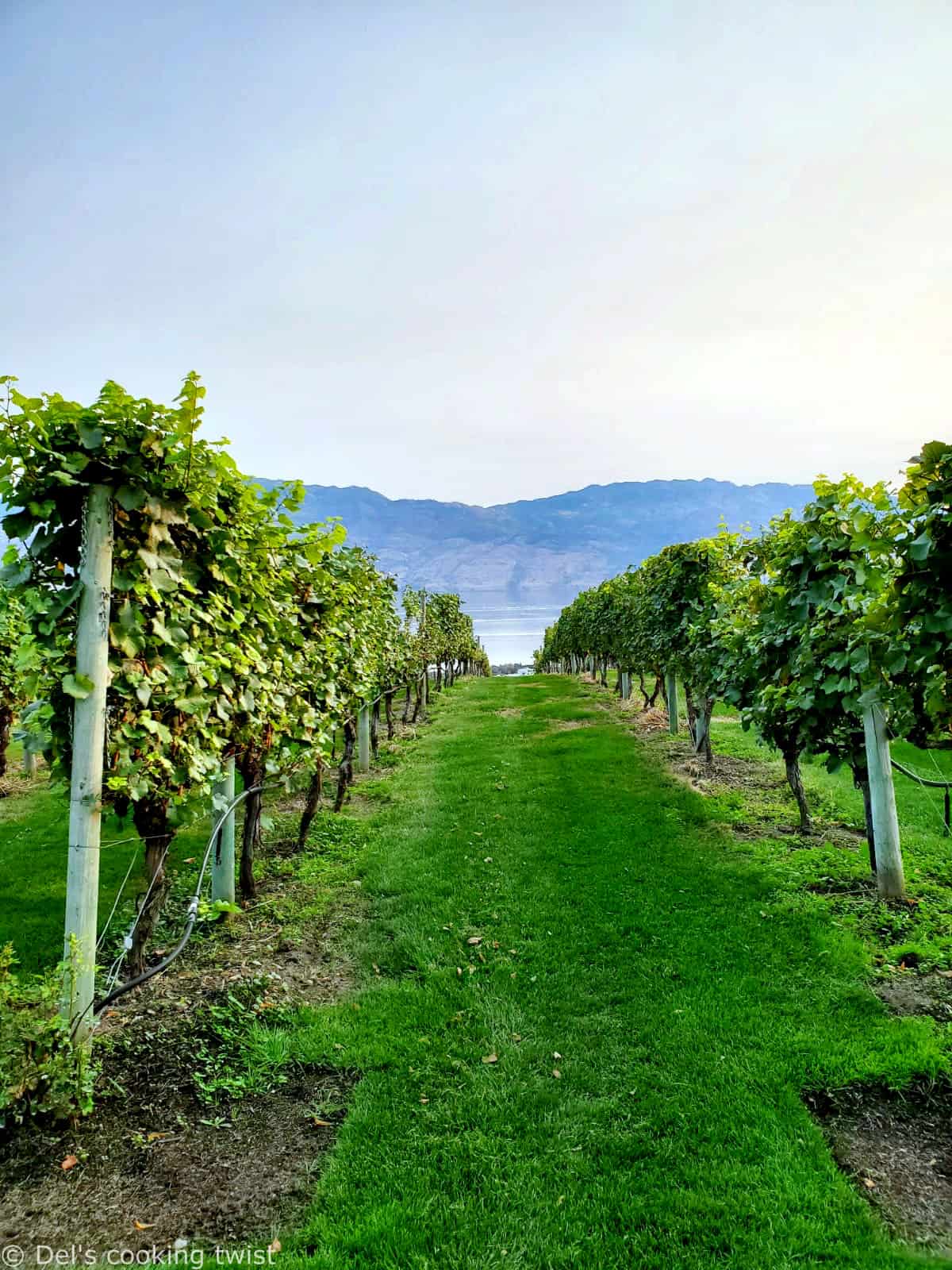 Okanagan Mission Hill Vinyards