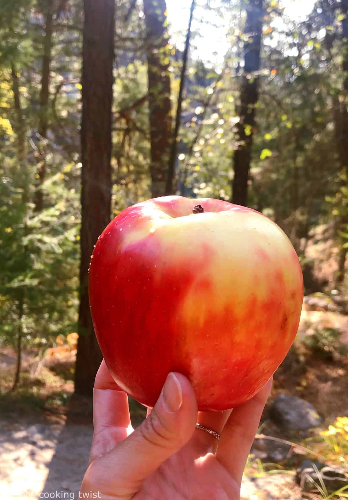 Okanagan apples