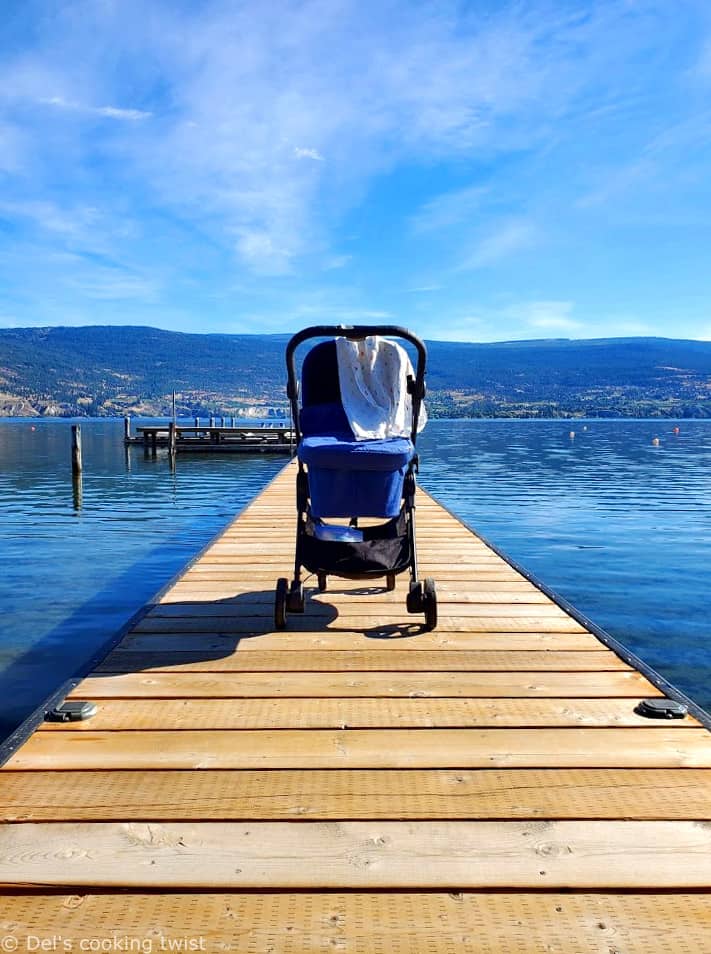 Stroller Okanagan Lake