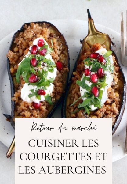 Courgettes et aubergines en folie. Des recettes créatives et originales pour cuisiner vos courgettes et aubergines tout au long de l'été.