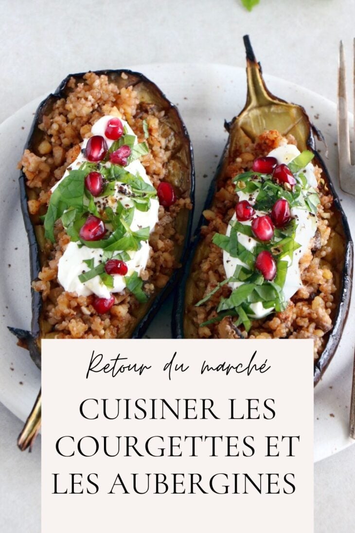 Courgettes et aubergines en folie. Des recettes créatives et originales pour cuisiner vos courgettes et aubergines tout au long de l'été.