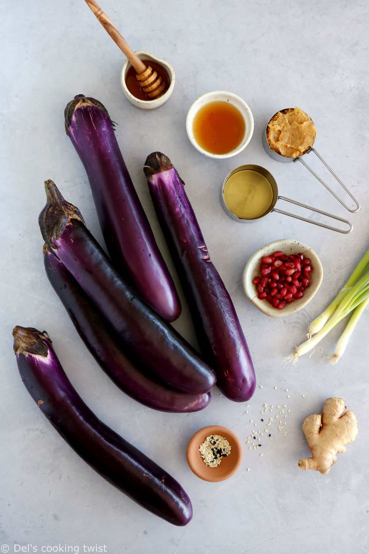 Les aubergines au miso à la japonaise (Nasu Dengaku) sont à plat traditionnel du Japon aux saveurs umami.