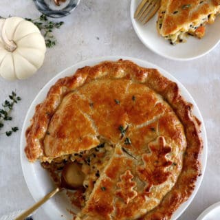 This butternut squash and lentil pot pie is prepared with a hearty and creamy vegetable filling, tucked into two homemade pie crusts.