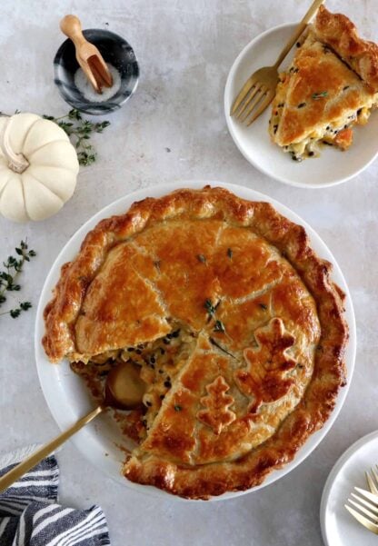 This butternut squash and lentil pot pie is prepared with a hearty and creamy vegetable filling, tucked into two homemade pie crusts.