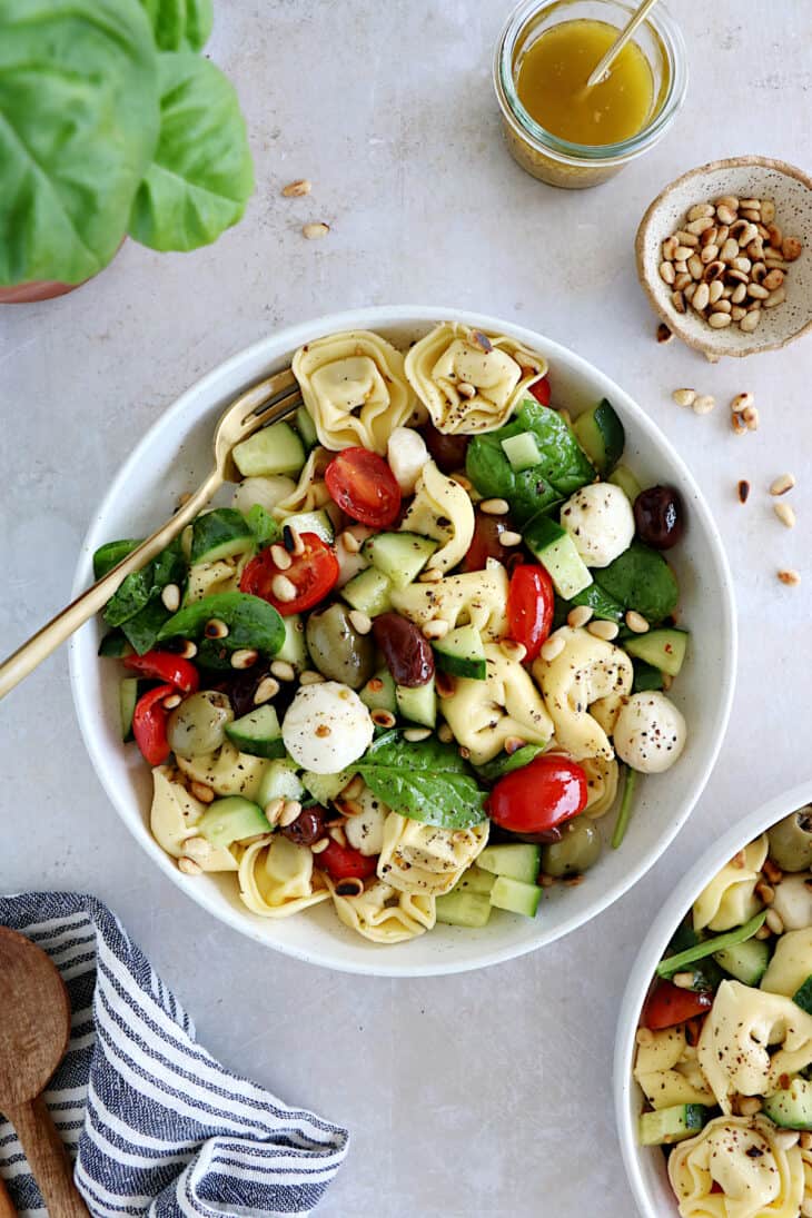 Cette salade de tortellini, tomates cerises et bocconcini est une recette simplissime, idéale pour un pique-nique ou un déjeuner léger et rapide.
