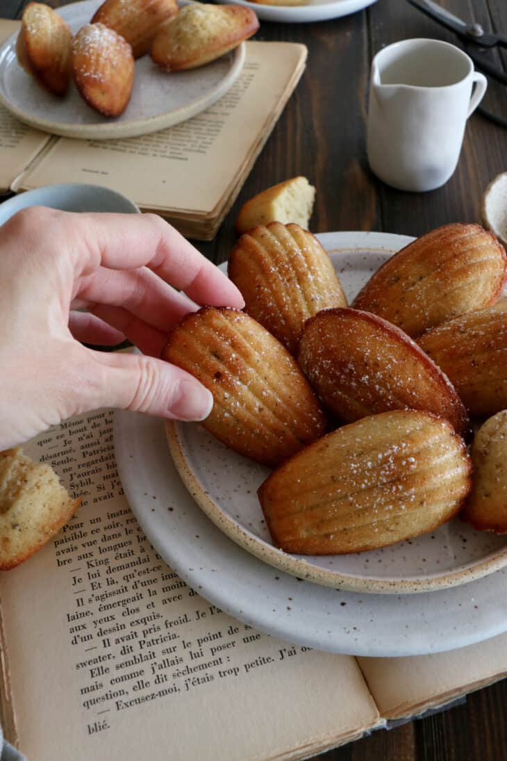 These classic French madeleines just hit the spot. Rich and buttery, these adorable cookie cakes have a characteristic little bump on top.