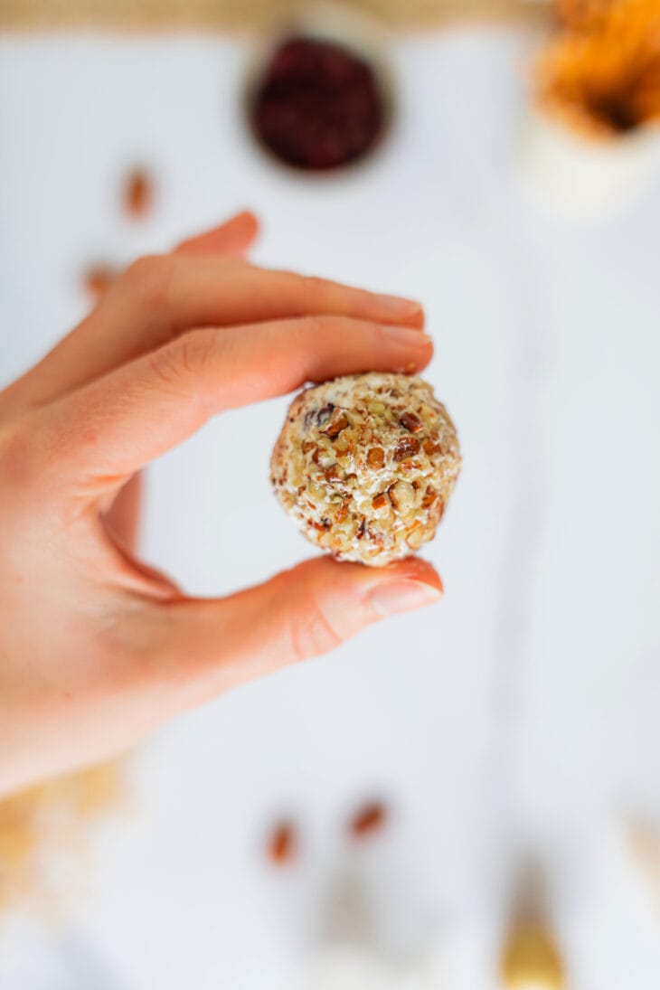 These festive cranberry pecan cheese balls are the perfect bite-sized appetizer for any gathering party during the holiday season.