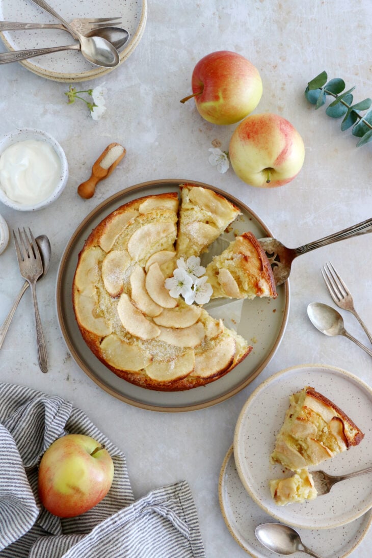 This simple apple ricotta cake is moist, tender, and packed with delicious apples and refreshing flavors. Easy to make, this apple cake recipe is a dessert to make year round.