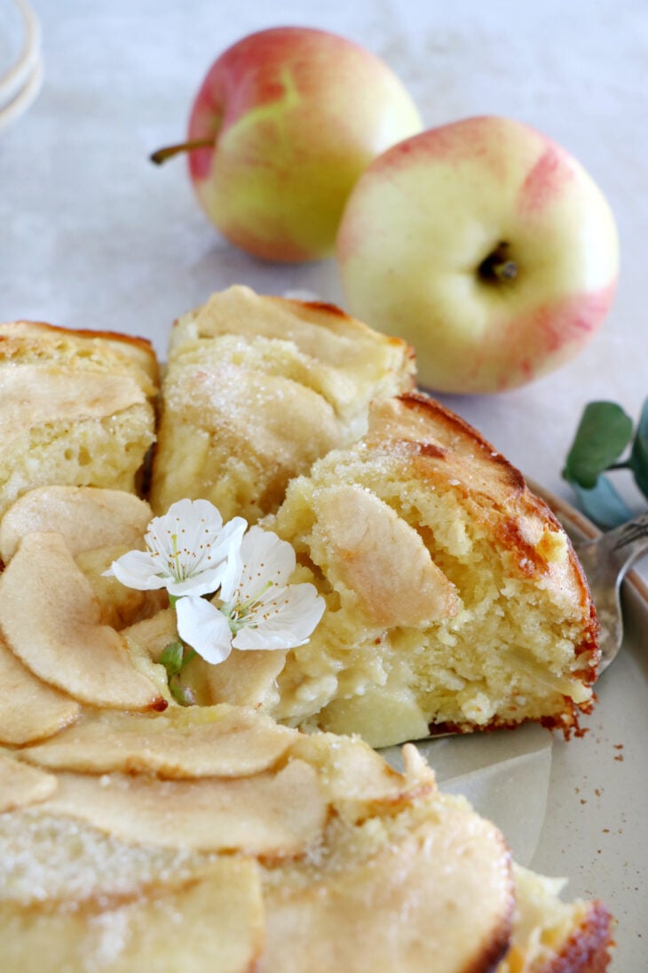 This simple apple ricotta cake is moist, tender, and packed with delicious apples and refreshing flavors. Easy to make, this apple cake recipe is a dessert to make year round.