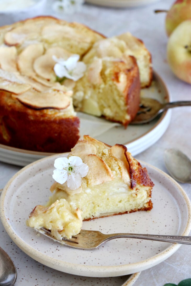 This simple apple ricotta cake is moist, tender, and packed with delicious apples and refreshing flavors. Easy to make, this apple cake recipe is a dessert to make year round.