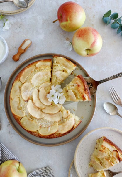 This simple apple ricotta cake is moist, tender, and packed with delicious apples and refreshing flavors. Easy to make, this apple cake recipe is a dessert to make year round.