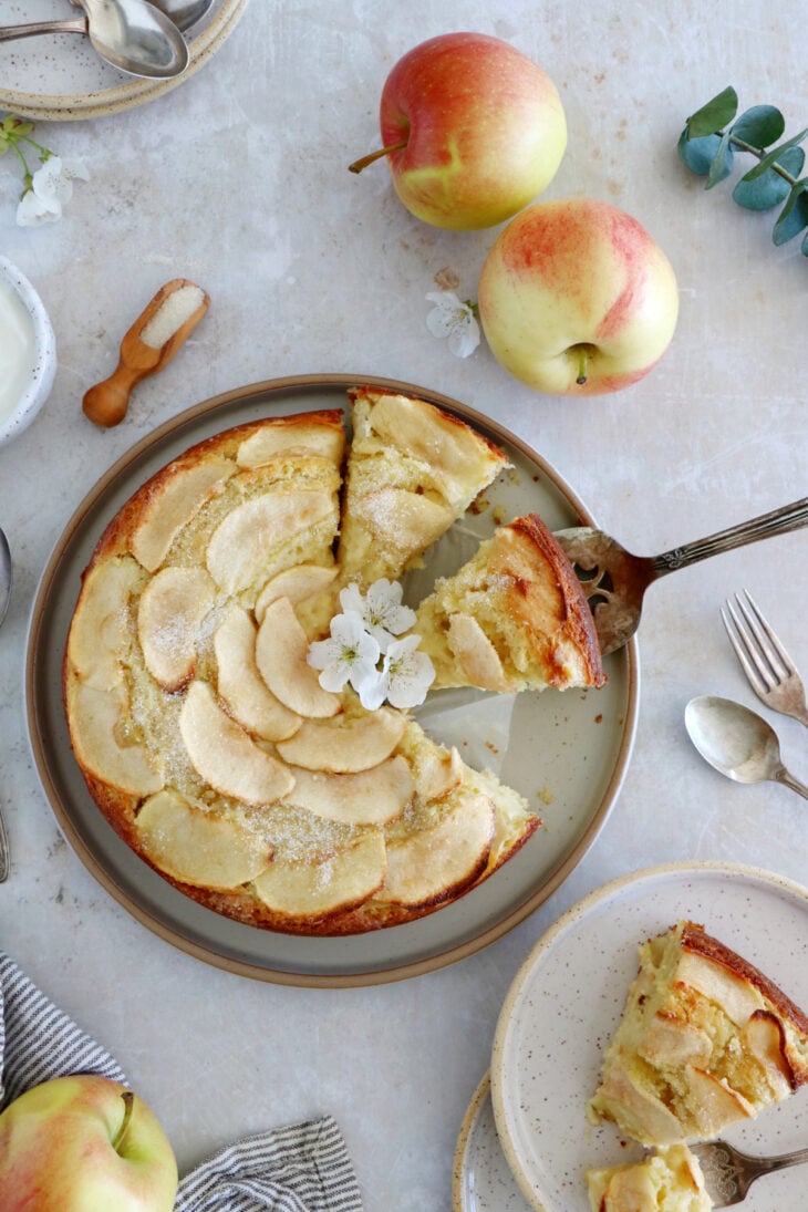 This simple apple ricotta cake is moist, tender, and packed with delicious apples and refreshing flavors. Easy to make, this apple cake recipe is a dessert to make year round.