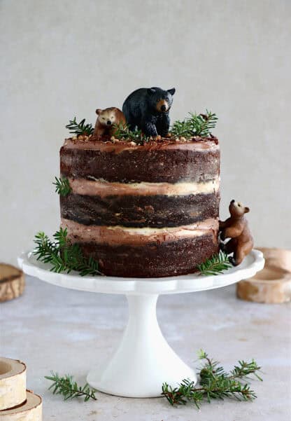 This beautiful healthy chocolate birthday cake is a dream come true. Flourless, butter-free, and naturally sweetened with fruits. 