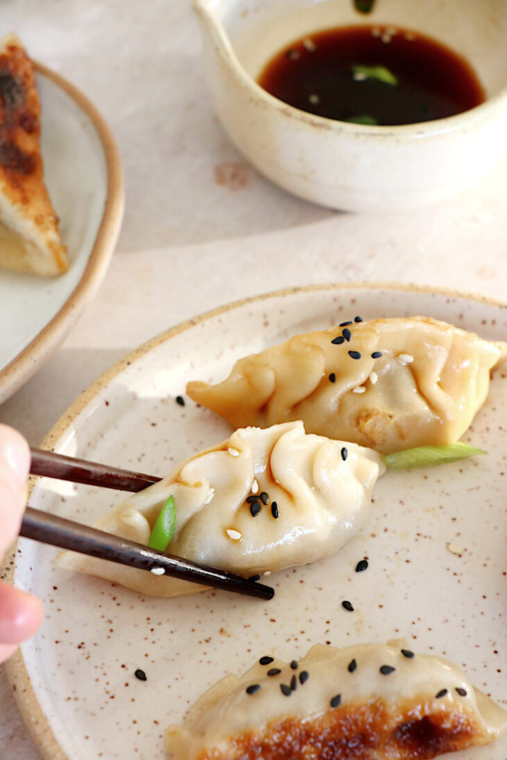 Learn how to make vegetable gyoza from scratch! These Japanese appetizers are tender, crispy on the bottom and loaded with umami flavors.