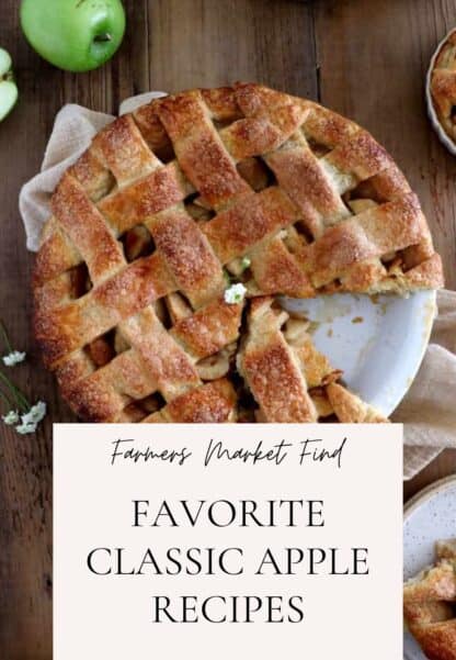 These classic apple recipes include sweet and savory options to honor apples. From the apple pie to some bakery-style apple muffins, there's something for everyone and every occasion.