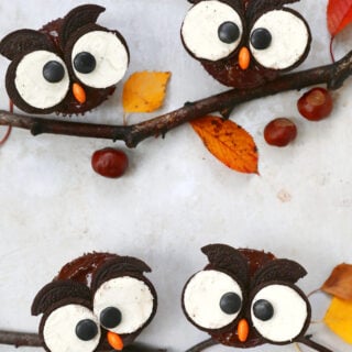 Ces adorables cupcakes chouettes d'Halloween sont très amusants à préparer et rencontrent toujours un grand succès auprès des enfants.