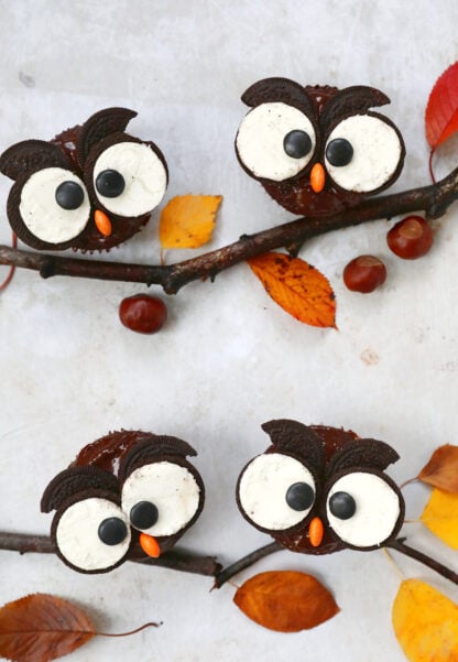 These adorable Halloween owl cupcakes with Oreos are easy to put together and so much fun to decorate with kids.