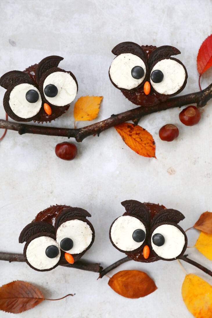 Ces adorables cupcakes chouettes d'Halloween sont très amusants à préparer et rencontrent toujours un grand succès auprès des enfants.