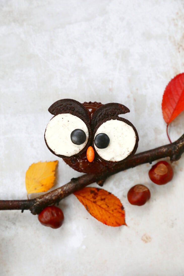 Ces adorables cupcakes chouettes d'Halloween sont très amusants à préparer et rencontrent toujours un grand succès auprès des enfants.