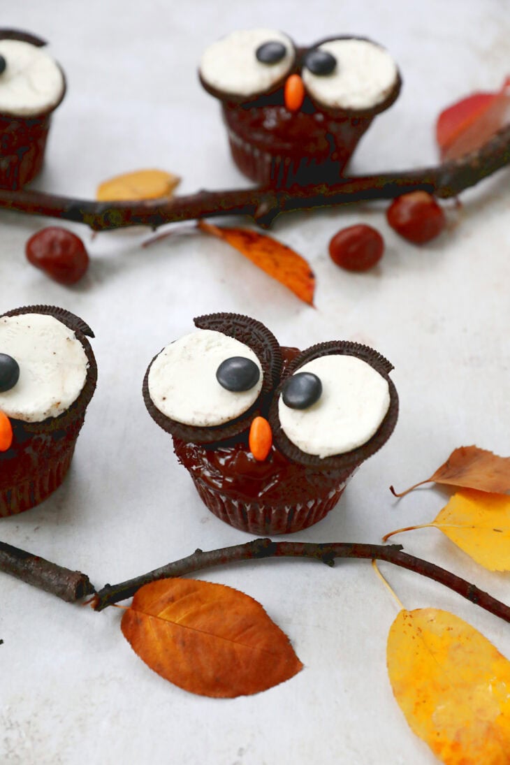 Ces adorables cupcakes chouettes d'Halloween sont très amusants à préparer et rencontrent toujours un grand succès auprès des enfants.