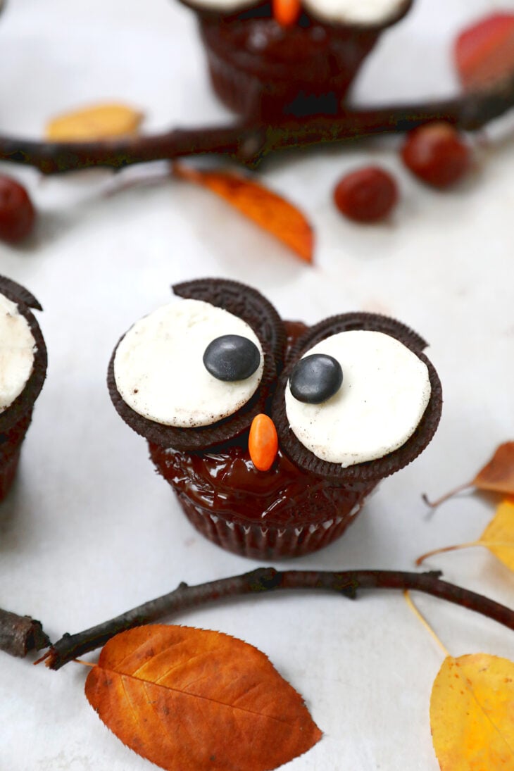 Ces adorables cupcakes chouettes d'Halloween sont très amusants à préparer et rencontrent toujours un grand succès auprès des enfants.