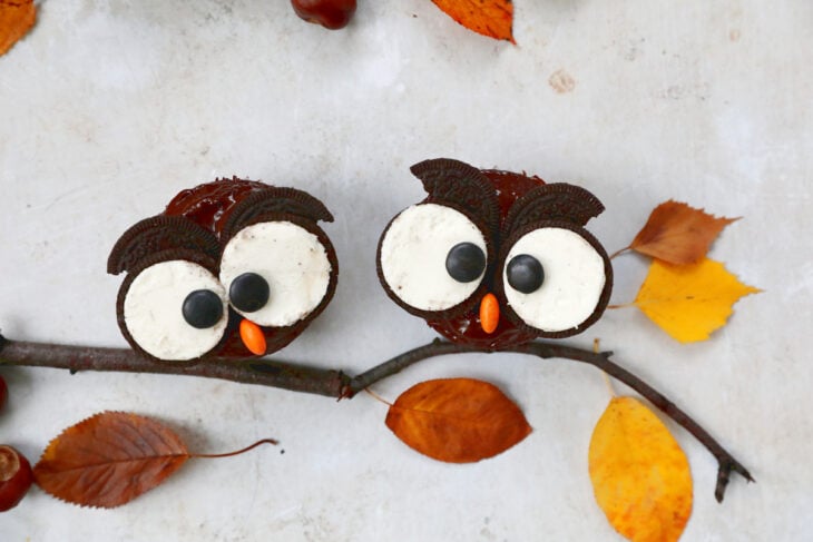 Ces adorables cupcakes chouettes d'Halloween sont très amusants à préparer et rencontrent toujours un grand succès auprès des enfants.