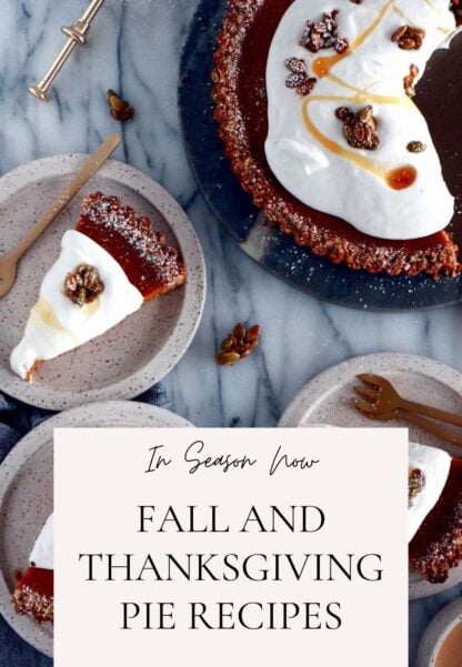 These fantastic fall and Thanksgiving pies will give you plenty of inspiration. From classics and beyond, these pies are a selection of trusted recipes you can keep a lifetime!