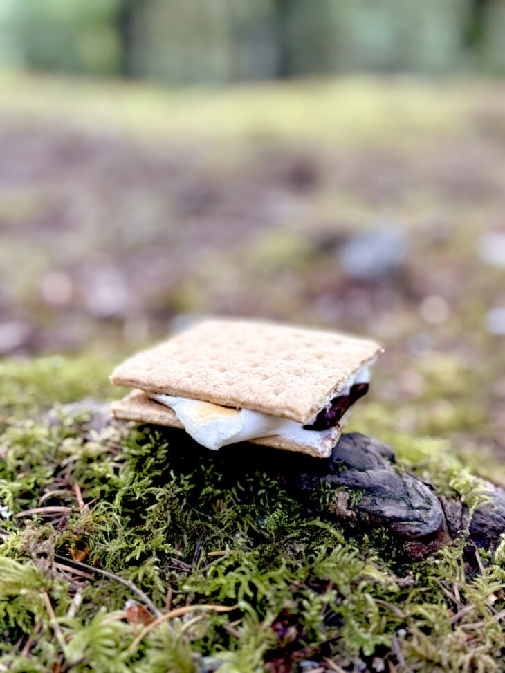 Les s'mores au feu de bois, ce sont des chamallows grillés et placés entre deux biscuits avec un morceau de chocolat.