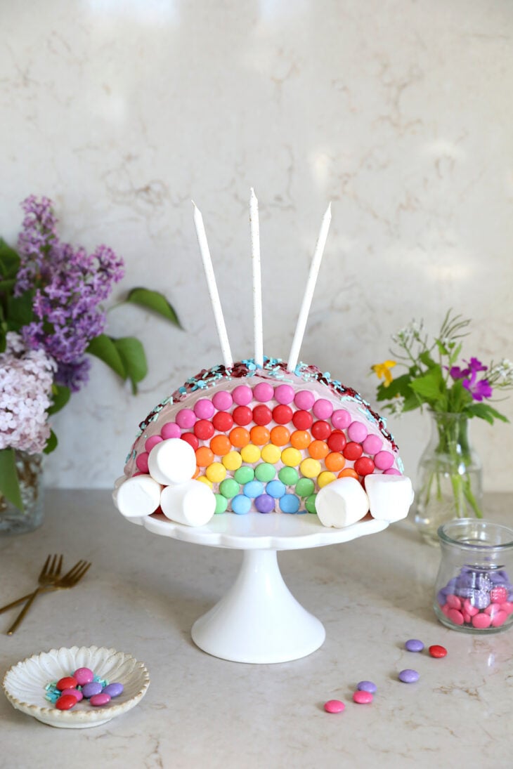Ce gâteau arc-en-ciel Smarties est la star de tous les goûters d'anniversaire d'enfants. Un gâteau à la fois ultra simple et époustouflant.