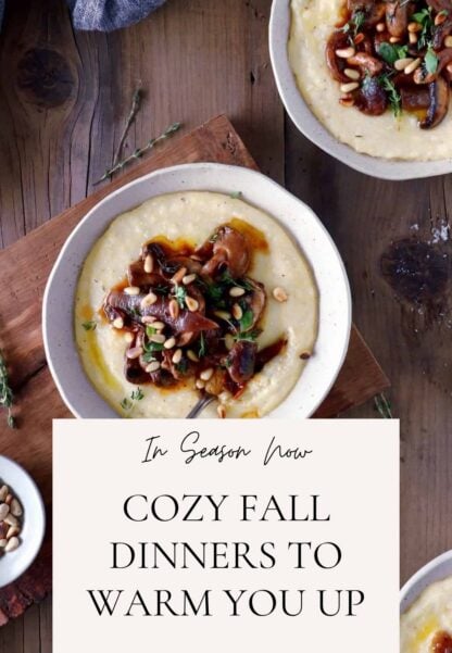 Unlock our collection of cozy fall dinners to warm you up from the inside, ranging from hearty soups and stews and comforting desserts too.