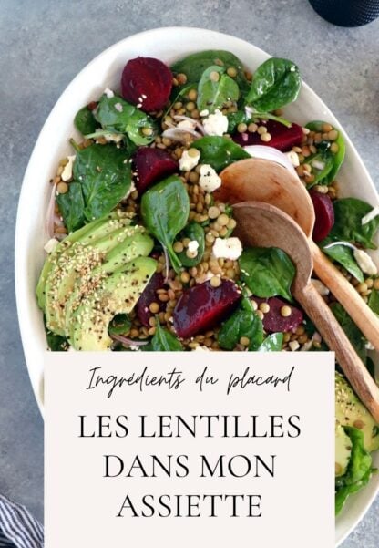 Les lentilles dans mon assiette ! D&eacute;couvrez cette incroyable collection de recettes de lentilles saines, nourrissantes et savoureuses, &agrave; faire et &agrave; refaire.